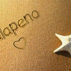 Dansk Varmblod Jalapeño Z