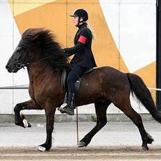 Islænder Náttfari fra Ravnstrup