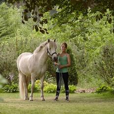 New Forest Prins Delight ~~solgt~~