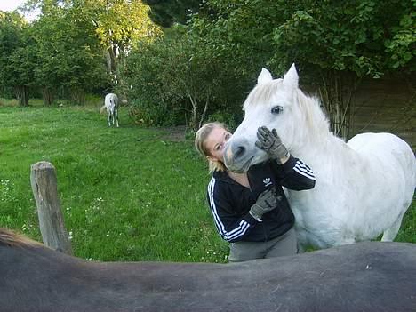 DSP Kathinka billede 19