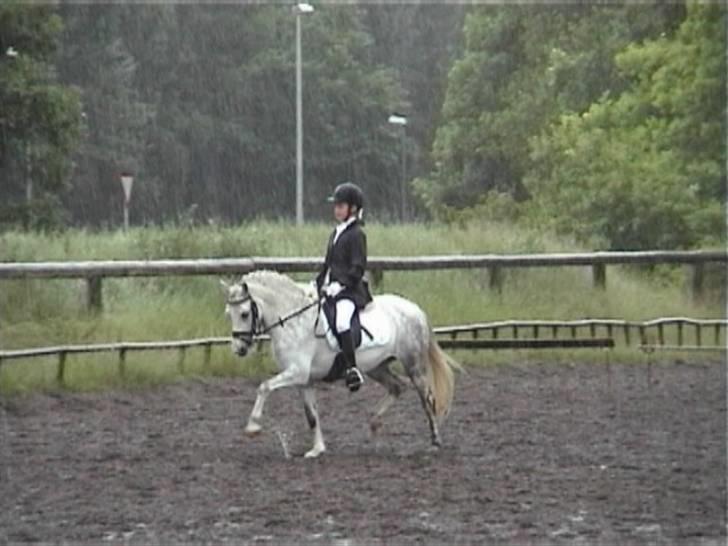 Welsh Pony (sec B) Freja - Stævne 25/6 i åskov og det regnede helt vildt billede 5