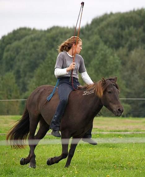 Islænder irpa billede 19