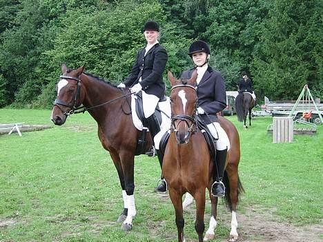 New Forest Spangvads Eros. (solgt) - Jackie og mig. På Eros og Bartoli<3 billede 4