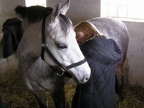 Anden særlig race Coco - "Lige der" :P billede 9
