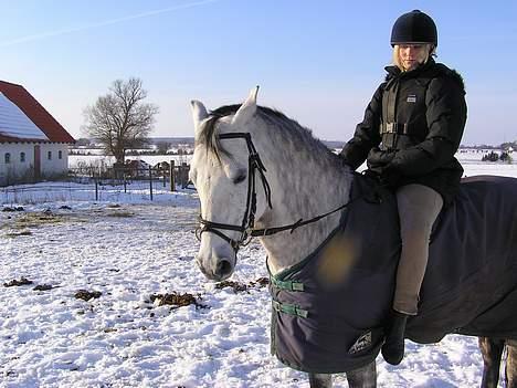 Anden særlig race Coco - Hvor ser jeg dum ud på det billede ;P Men ja, Coco, den fotogene pony ;D billede 12