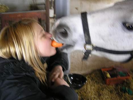 Anden særlig race Coco - Hun bed altid guleroden over når hun kunne mærke mine læber så hun ikke bed mig :D billede 14