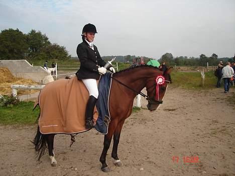 Dansk Varmblod Bailey *SOLGT* - Områdemesterskab 2006. 1 plads.. så dygtig en pige.. billede 16