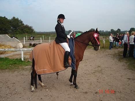 Dansk Varmblod Bailey *SOLGT* - områdemesterskab 2006 billede 17