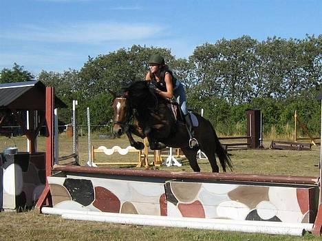 DSP Cassiopeia - spring på ridelejr i NVR 2006 billede 19