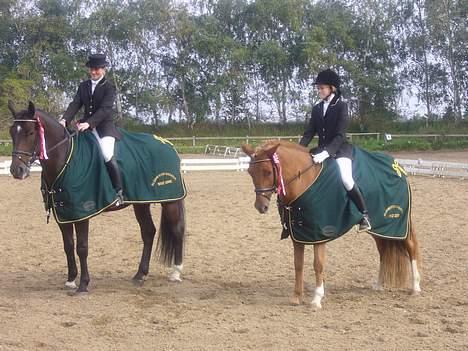 New Forest Odbjergs Emil  { SOLGT } - Mig & Lone , klubmestre ´06 :D  billede 8