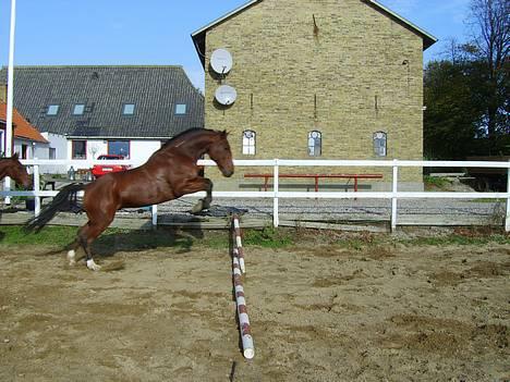 Traver La Cour *R.I.P* - Tror godt han kan lide at springe smiler... billede 13