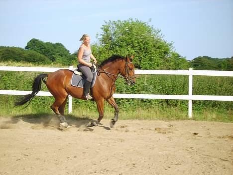 Traver La Cour *R.I.P* - Her igen bare i galop. billede 16