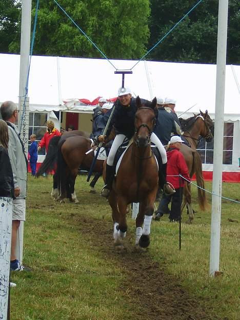 Traver La Cour *R.I.P* - Her er han til ringridning, min veninde der rider ham. billede 17