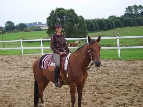 Traver La Cour *R.I.P* - Her er vi så i western dress (ikke jeg men hesten) billede 18