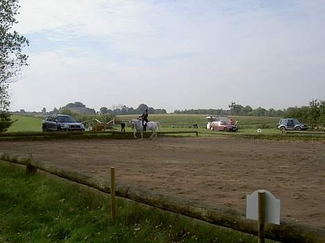 Anden særlig race unicorn(solgt) - mig og Uni til millitary stævne. Dressuren billede 15