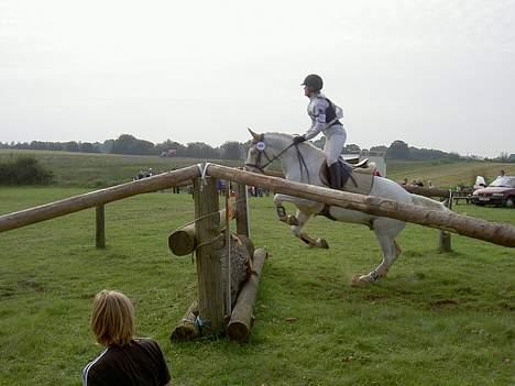 Anden særlig race unicorn(solgt) - Mig og Uni til millitary. Naturspring billede 16