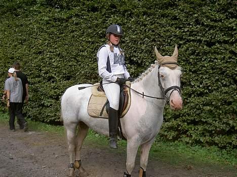Anden særlig race unicorn(solgt) - Mig og Uni efter vi har været i naturen, vi er vist begge lidt trætte:-P billede 17