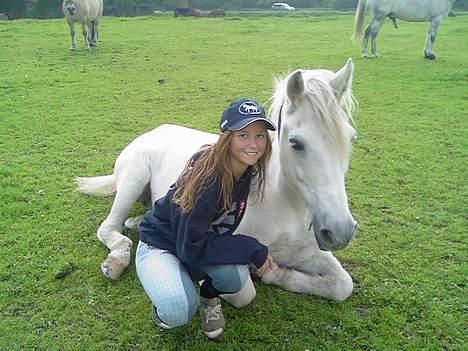 Irsk Sportspony Pan - I L Y ..  = I Love You Skaaat  billede 6