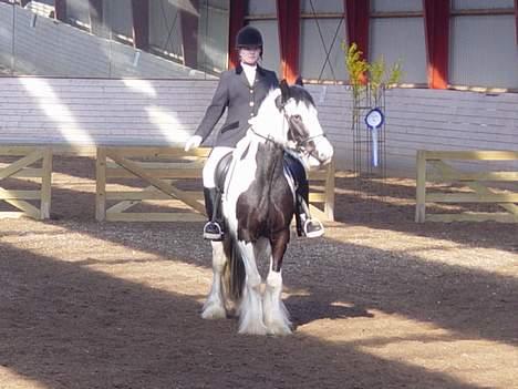 Tinker Julie R.I.P.  - Julie´s første stævne billede 4