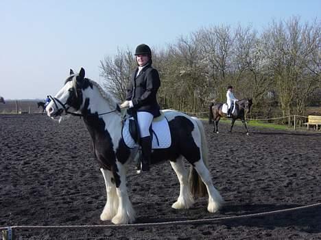 Tinker Julie R.I.P.  - Julie´s første stævne billede 5