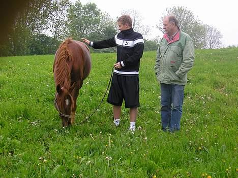 Anden særlig race Baloo - Baloo, min bror og far, på marken tæt på vores hus. billede 3