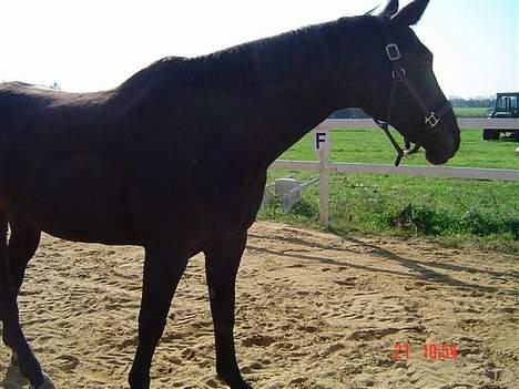 Oldenborg Patrik Bakke - er der en derover der har noget mad til mig billede 3
