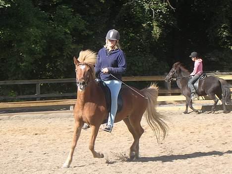 Islænder Lukka fra Flødal (SOLGT) - Lukka og jeg i tölt med Litla i baggrunden :) billede 14