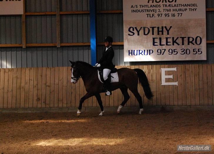 DSP Bæklunds Laredo (SOLGT) - d 5/4 . Stævne i hurup , LB1 :) billede 7