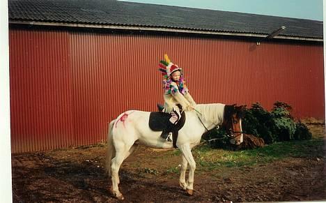 Pinto .... pinto... + 2011+ billede 13