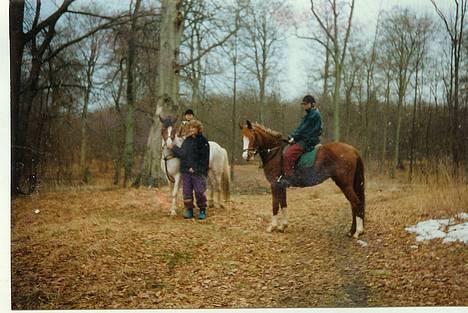 Pinto .... pinto... + 2011+ billede 14