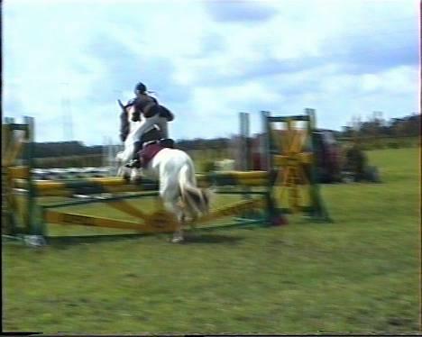 Pinto .... pinto... + 2011+ billede 17