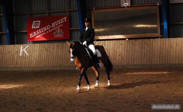 DSP Bæklunds Laredo (SOLGT) - d 5/4 . Stævne i hurup , LB1 :) billede 11