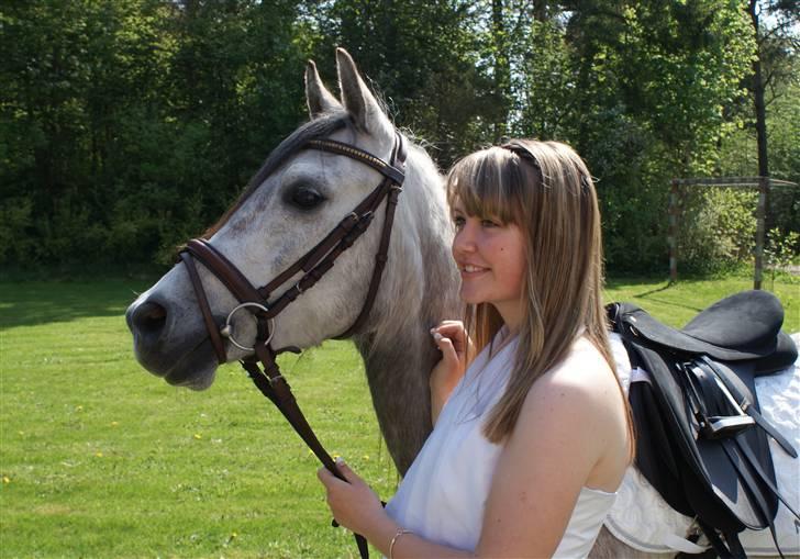 Anden særlig race Vanggården's Mister Magic - Mister var noget af det bedste den dag! - Til min konfirmation. D. 2. maj 2009 billede 12