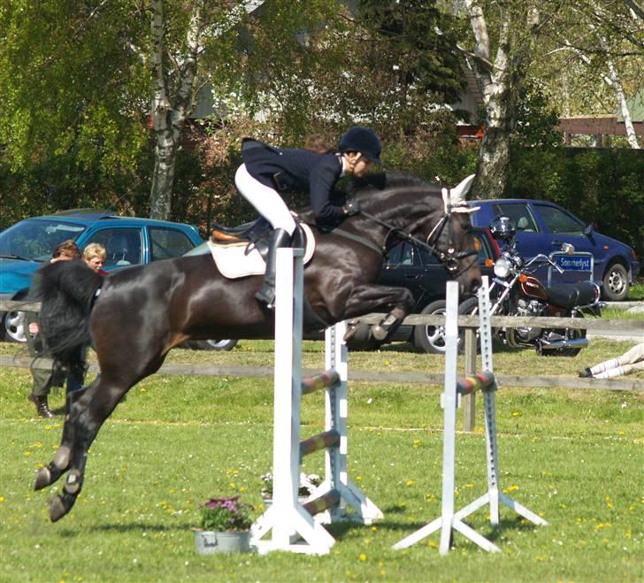 Dansk Varmblod Losanna - solgt - Lossa til stævne i Grenå :D. Der var hun suuuper ! billede 14