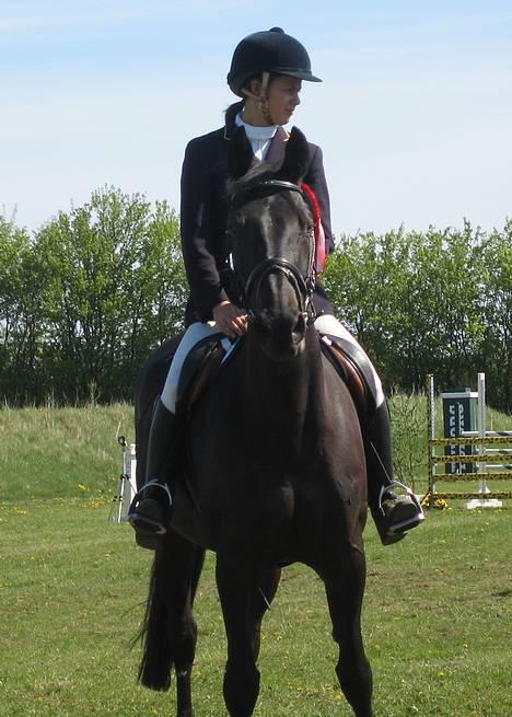 Dansk Varmblod Losanna - solgt - Ridestævne i Harlev billede 18