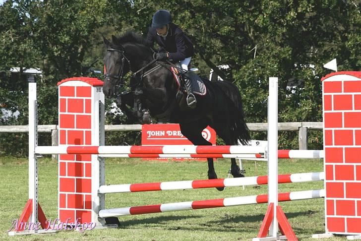 Dansk Varmblod Losanna - solgt - Lossa til stævne - taget af Anne Halskov billede 20