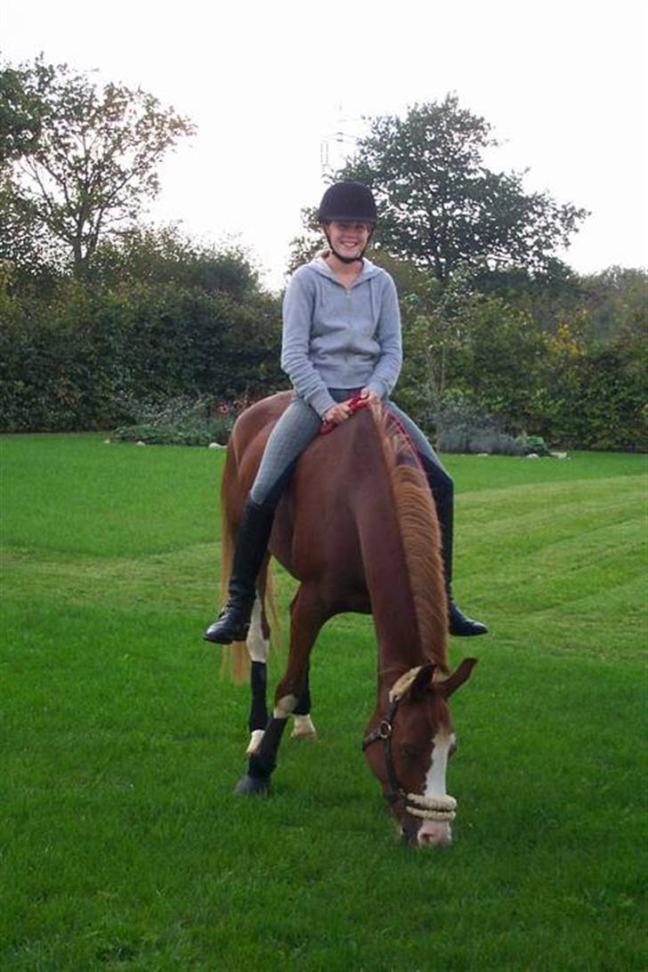 Anden særlig race Houdini - 7# Hjemme i haven XD billede 7