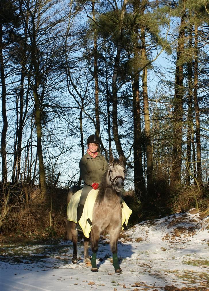 Anden særlig race Vanggården's Mister Magic - "Love is great when you find someone to give it to. I found the one i want to give my love" 4. gang vi rider efter pause på et år. Så dejlig du er pony <3 D. 14/2 2009 billede 16