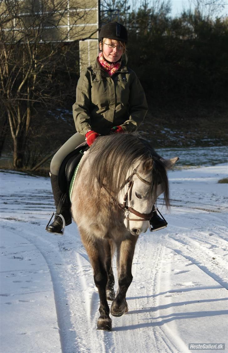 Anden særlig race Vanggården's Mister Magic - "Be slow in choosing a friend, but slower in changing him!" Fjerde gang siden pause på et år. D. 14/2 2009 billede 17