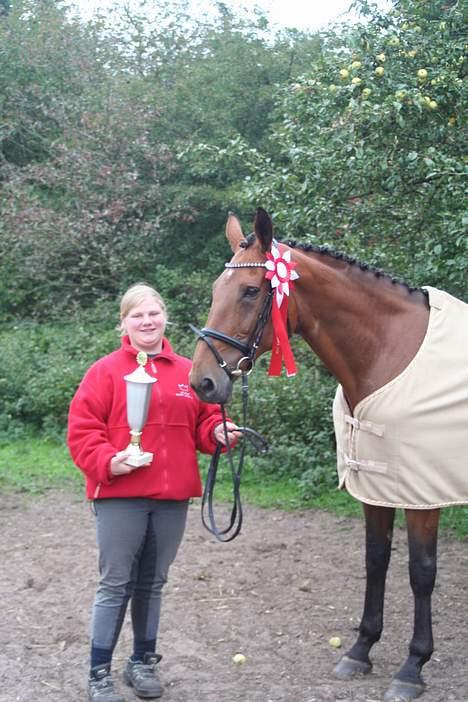 Dansk Varmblod Fabienne Foldager RDH  - Mig og Fabienne hos Olav billede 20