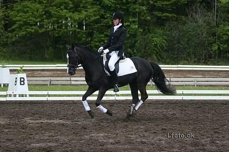 Anden særlig race Max<3 Pensioneret :) - Foto: L-foto Galop øgning Morsø stævnet 2006 billede 4