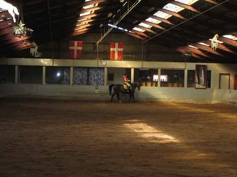 Anden særlig race Theis Fuglsang  - 23.09.2006 billede 12