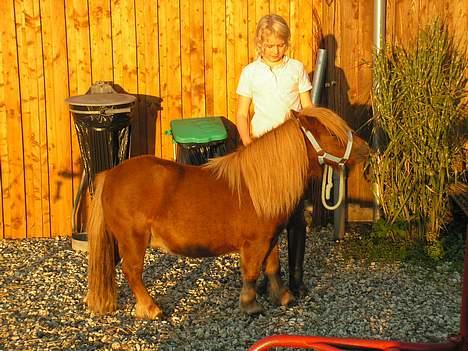 Anden særlig race Martin  - Tyksakken ;P billede 11