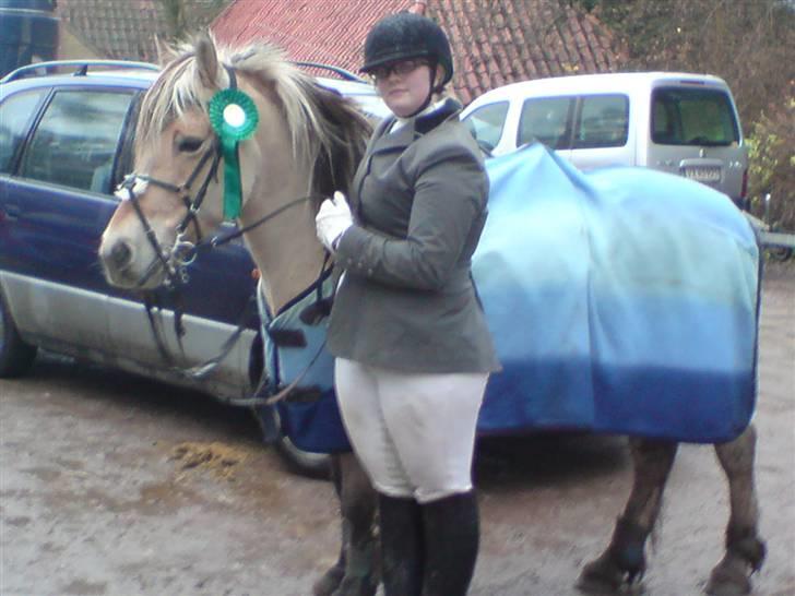 Anden særlig race  Richard Løvehjerte SOLGT - hey, welkommen til min side...  Her ses g sammmen med min mor... Har ige fået en 4 plads i  spring, billede 1