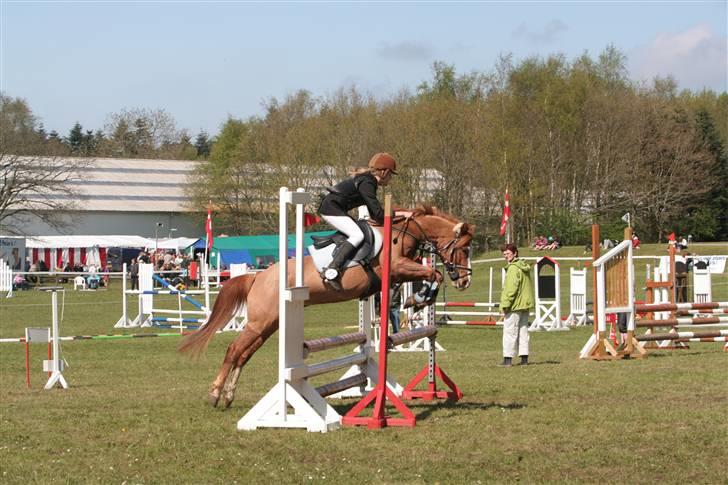 Anden særlig race Donna ¤solgt&savnet¤ - Det første spring i LA. Morsø-cup 08 billede 16