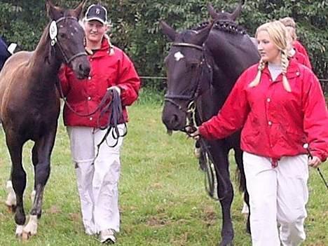 Oldenborg Bøgsted-Møllers Lucia - NYT! billede 17