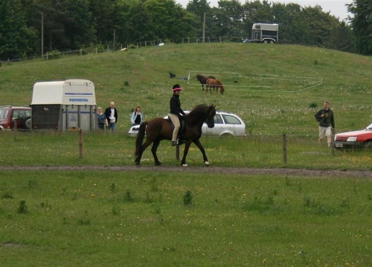 Islænder Náttfari fra Ravnstrup - Skridt - Pokkis trænings stævnet 2007 billede 8