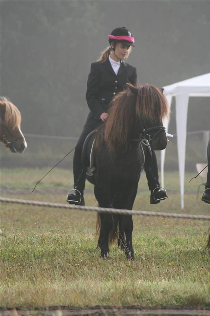 Islænder Náttfari fra Ravnstrup - Náttfari og jeg - Ganti stævnet 2007 billede 17