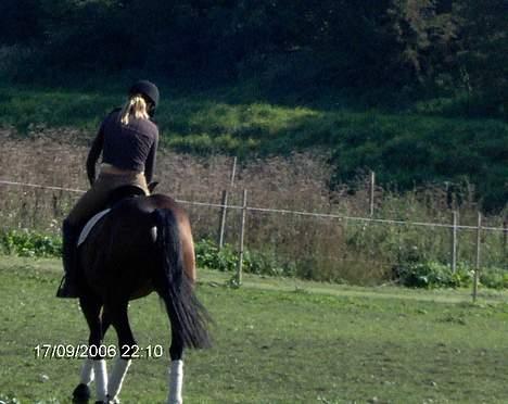 Dansk Varmblod Gin - Mig og hende igen billede 4
