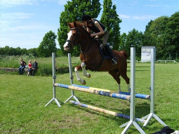 DSP Vesterbygårds Monty SOLGT - Springtræning på græsbanen 3. juni 2007 billede 5